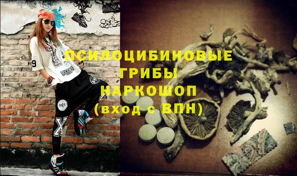 не бодяженный Арсеньев