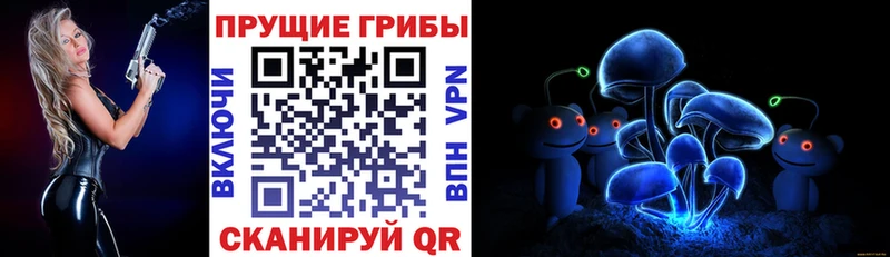 купить наркотики цена гидра ССЫЛКА Псилоцибиновые грибы MAGIC MUSHROOMS Соль-Илецк